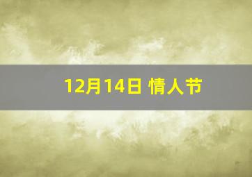 12月14日 情人节